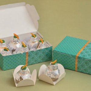 Cavity Box (6 Cavity) - Pack of 24 Pcs